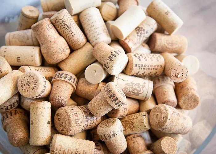 Bed And Wine Nonsolovino Alojamento de Acomodação e Pequeno-almoço Reeuwijk