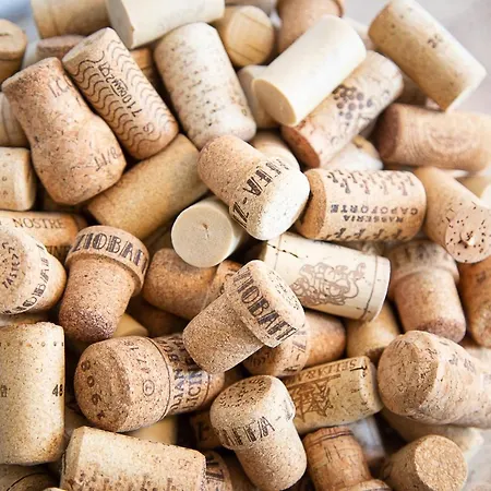 Bed And Wine Nonsolovino Bed & Breakfast Reeuwijk